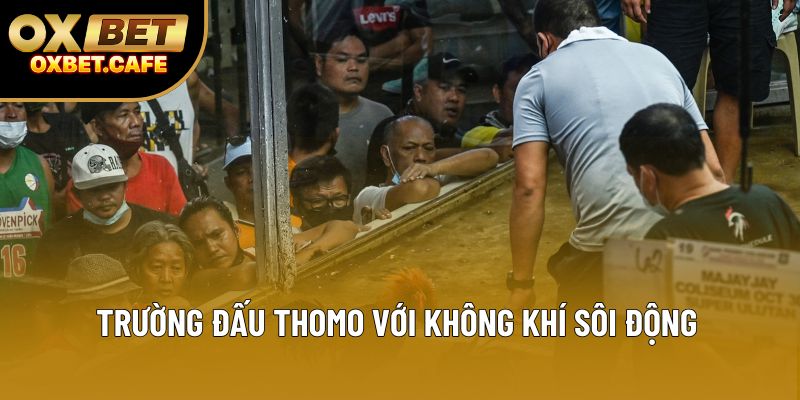 Trường đấu Thomo với không khí sôi động